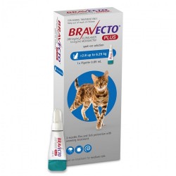 Bravecto - Bravecto Plus Spot On Cat