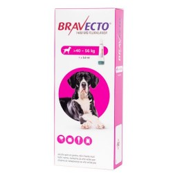 Bravecto - Bravecto Spot On Dog (40-56 kg)