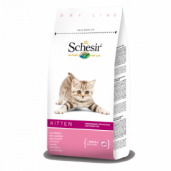 Schesir - Schesir Kitten
