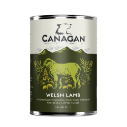 Canagan - Canagan Grain Free cu miel si peste alb