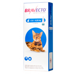 Bravecto - Bravecto Spot on Cat Antiparazitare impotriva puricilor si capuselor pentru pisici de talie medie