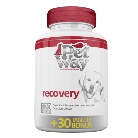 petway - Petway Recovery